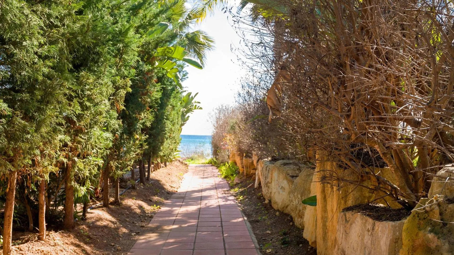 Semesterbostad Villa Ioanna - 50M From Med Sea Ayia Napa